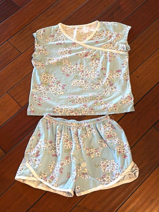 Garnet Hill Other - Garnet Hill  Pajama SET Size M Blue Floral Green Cotton Short Sleeve Shorts